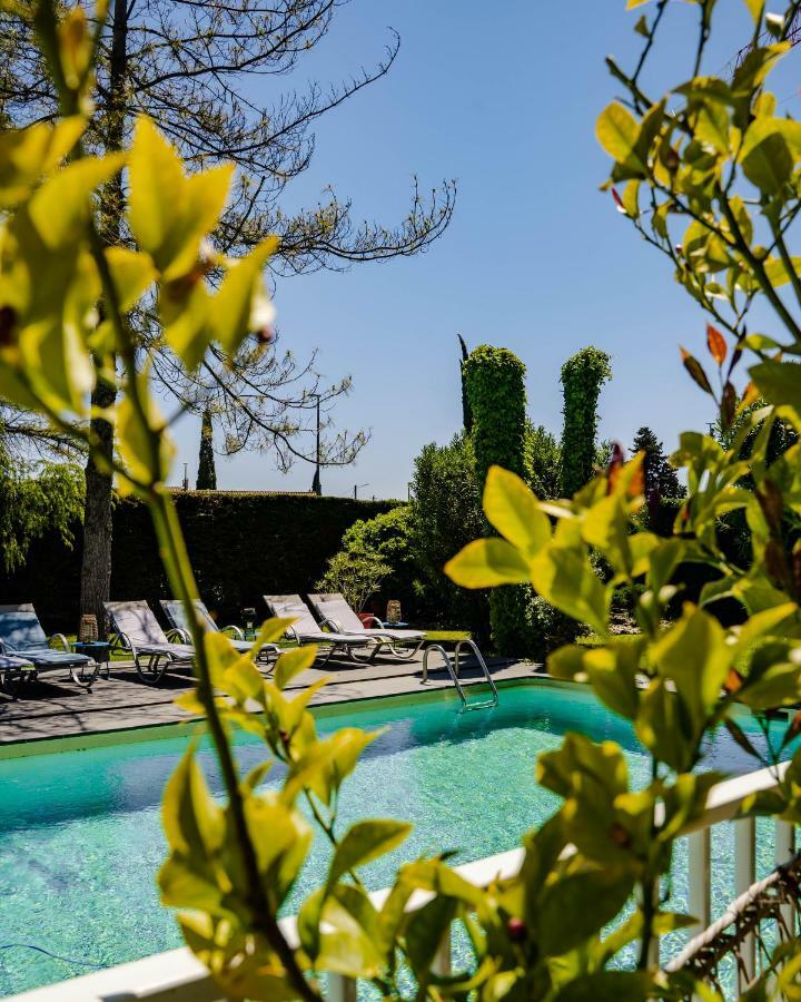 Le Safari Hotel Restaurant Carpentras Eksteriør bilde